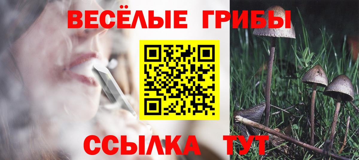 Галлюциногенные грибы мухоморы Дюртюли