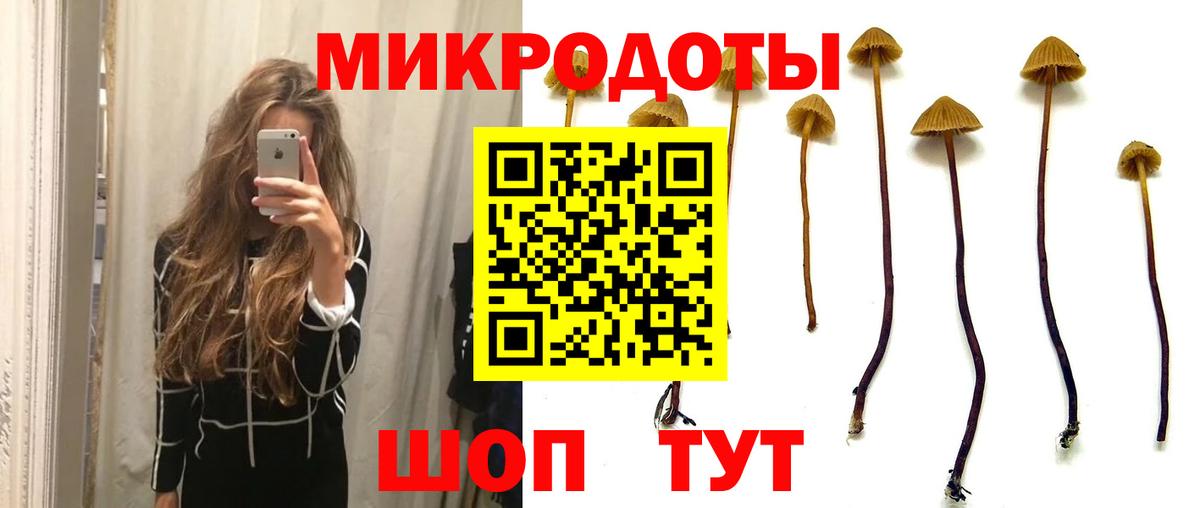 Галлюциногенные грибы Cubensis  Вход с VPN  Галлюциногенные грибы Cubensis  Дюртюли 